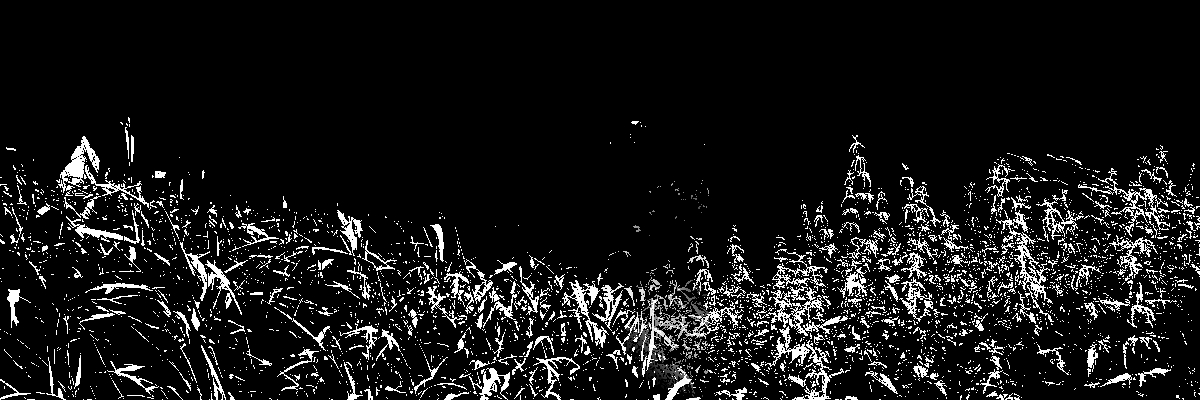Description of image